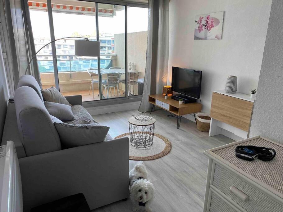 Joli Studio Vue Mer Et Port Mauguio Dış mekan fotoğraf